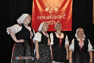 Papradňanské kubečko - regionálna súťaž - Papradňanské kubečko (63)