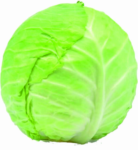 KAPUSTOVÉ HLÚBOVÉ HODY