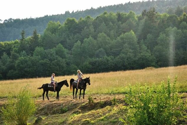 Country na konoch - 2013