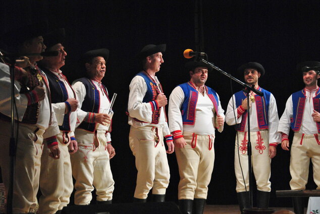 Krajská spev.sólistov,inštrum. papradno - Dsc 0117