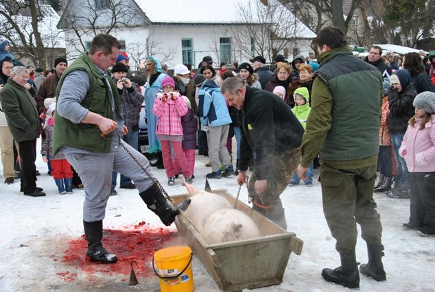 Fašiangy v okrese - Cerveny kamen tahanie vrby fasiang2013 39 