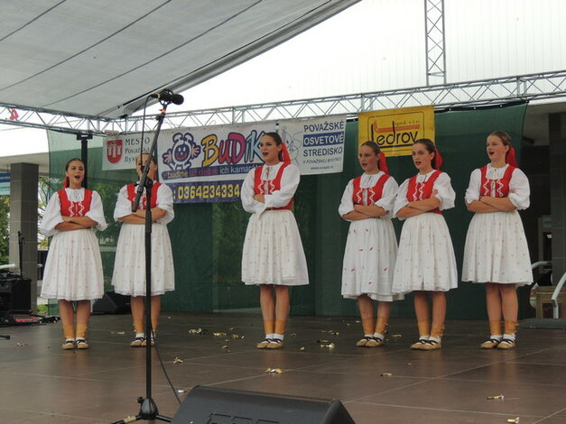 Budík, benefičný koncert - Budík, benefičný koncert (12)