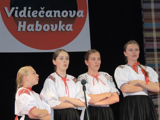 Vidiečanova habovka - VIDIECANOVA HABOVKA 2014 (11)