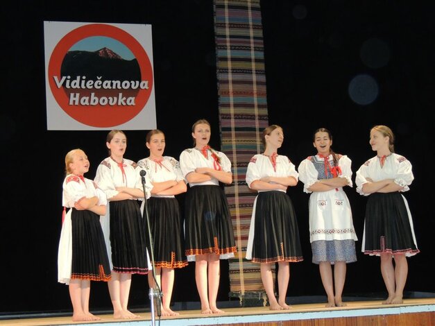 Vidiečanova habovka - VIDIECANOVA HABOVKA 2014 (8)