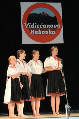 Vidiečanova habovka - VIDIECANOVA HABOVKA 2014 (9)