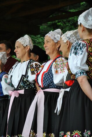 20. folklórna lysá - Folklorna Lysa 2015 (20)