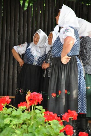 20. folklórna lysá - Folklorna Lysa 2015 (34)