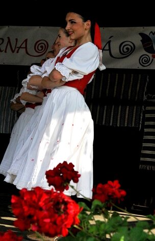 20. folklórna lysá - Folklorna Lysa 2015 (42)