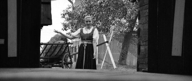 Marikovské folklórne slávnosti - MFS (68)