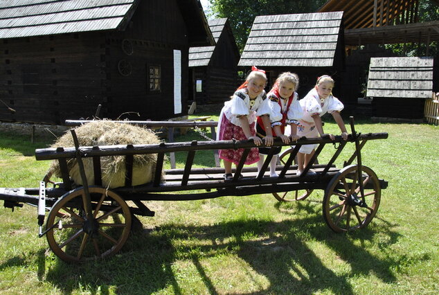 Marikovské folklórne slávnosti - MFS (9)