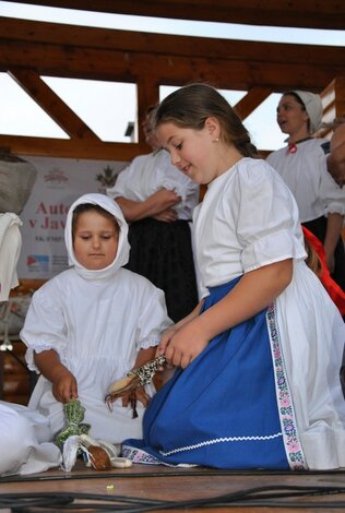 Nositelia tradícií - krajská súťaž, v srdci javorníkvo - Nositelia tradicii, V srdci javornikvo (24)