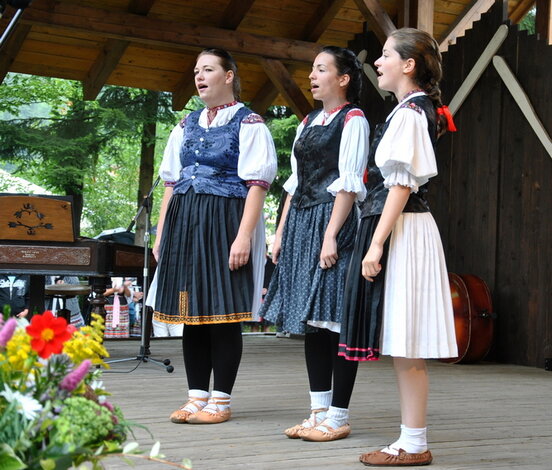 24. marikovské folklórne slávnosti - MFS (18)