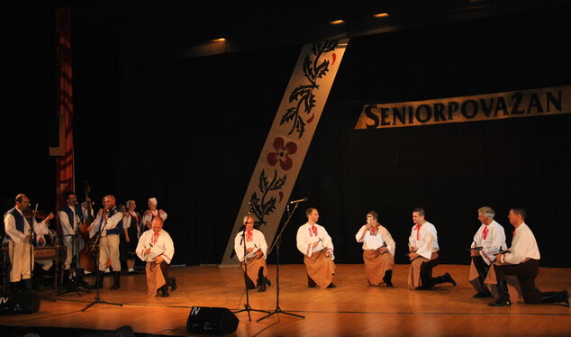 Seniorpovažan, 15. výročie - SENIORPOVAZAN 2017 (13)