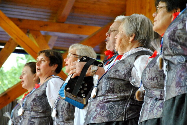 Stupniansky hodový jarmok - Stupniansky hodový jarmok (18)