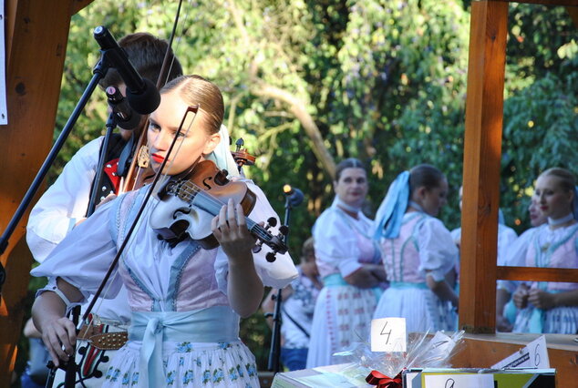 Stupniansky hodový jarmok - Stupniansky hodový jarmok (24)