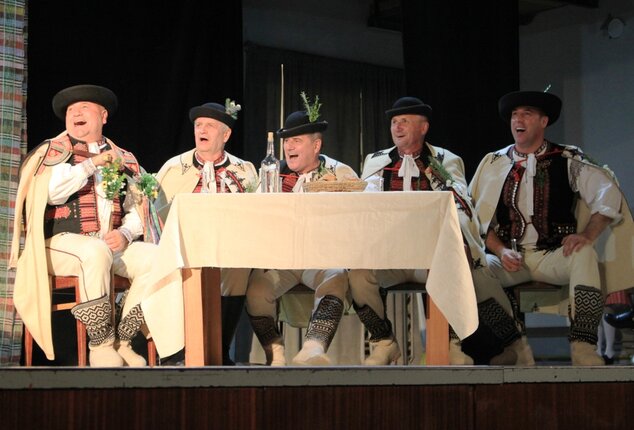 Celoštátna súťaž a prehliadka hudobného folklóru vidiečanova habovka - Vidiečanova Habovka 2019 (9)