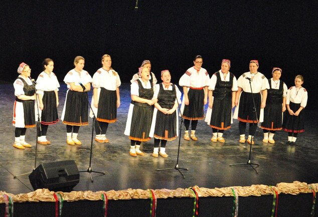 Folklór šitý do krásy Púchov 2020 (13)