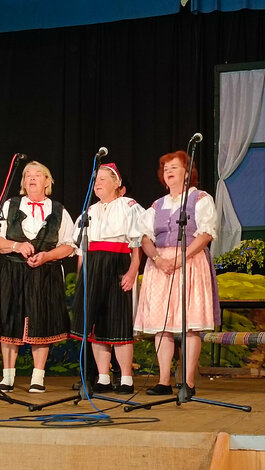 Brvništské hody - Brvništské hody (14)