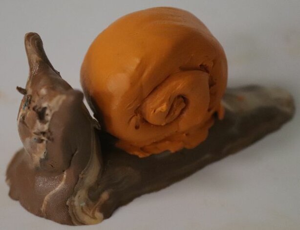 Svetlušky a krajina nádeje, vyhodnotenie - IMG_2076