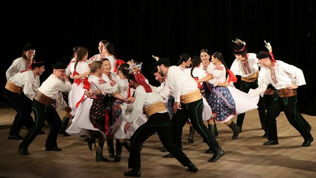 Toč sa toč – krajské kolo súťaže jazykom tanca 2025 - IMG_5255