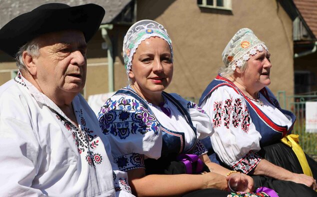 24. tradičné lednické dožinkové slávnosti sú za nami! - IMG_8211