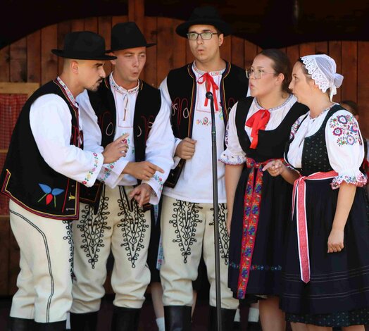 24. tradičné lednické dožinkové slávnosti sú za nami! - IMG_8431