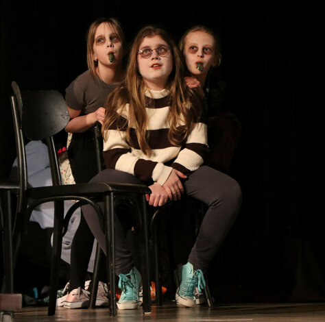 Rozprávkové javisko - výsledky regionálneho kola 53. ročníka celoštátnej postupovej súťaže a prehliadky detskej dramatickej tvorivosti zlatá priadka - IMG_8350