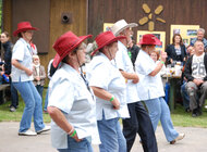 Ucinkujuci - 2011