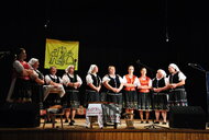 Krajská spev.sólistov,inštrum. papradno - Dsc 0089