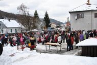 Fašiangy v okrese - Cerveny kamen tahanie vrby fasiang2013 38 