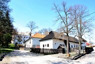 Štúrov uhrovec - Dsc 0335