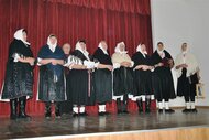 Javornícke ozveny - hvozdnica - JAVORNÍCKE OZVENY HVOZDNICA FEB 2015 (19)