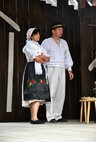 Marikovské folklórne slávnosti - MFS (41)