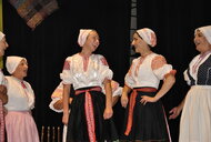 Nositelia tradícií - krajská súťaž, v srdci javorníkvo - Nositelia tradicii, V srdci javornikvo (10)