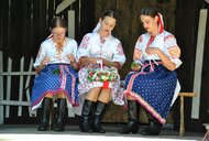 30. marikovské folklórne slávnosti - DSC_0232