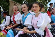 22. tradičné lednické dožinkové slávnosti - 22. Tradičné lednické dožinkové slávnosti, 2024 (42)