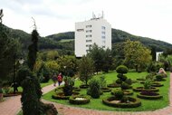 Nôty v dreve ukryté - Nôty v dreve Nimnica 2024  (14)