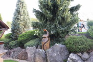 IMG_1912