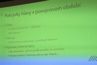 Šak jej ten čapeček pekne svečí - Fh sak jej ten capecek jan 2025 14 zm