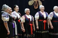 Regionálna súťaž papradňanské kubečko, kd papradno - výsledky - Kubecko vidhab reg 2025 18 zm