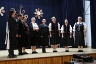 Regionálna súťaž papradňanské kubečko, kd papradno - výsledky - Kubecko vidhab reg 2025 69 zm
