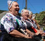 24. tradičné lednické dožinkové slávnosti sú za nami! - IMG_8209