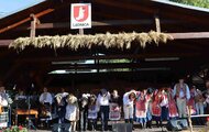 24. tradičné lednické dožinkové slávnosti sú za nami! - IMG_8733