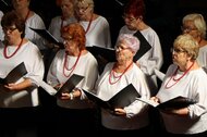 Krajské kolo 7. ročníka postupovej súťaže a prehliadky VIVA IL CANTO
