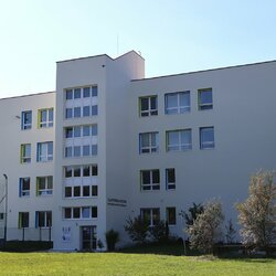 IMG_2685
